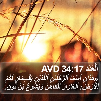 اَلْعَدَد 34:17 AVD Bible Verse Image