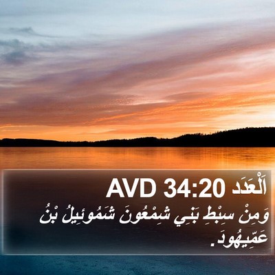اَلْعَدَد 34:20 AVD Bible Verse Image