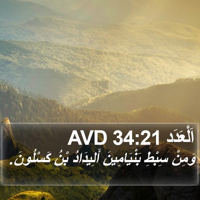 اَلْعَدَد 34:21 AVD Bible Verse Image