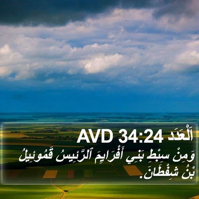 اَلْعَدَد 34:24 AVD Bible Verse Image