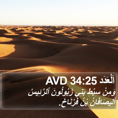 اَلْعَدَد 34:25 AVD Bible Verse Image