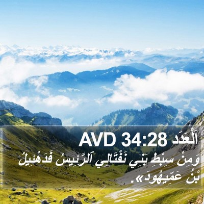 اَلْعَدَد 34:28 AVD Bible Verse Image