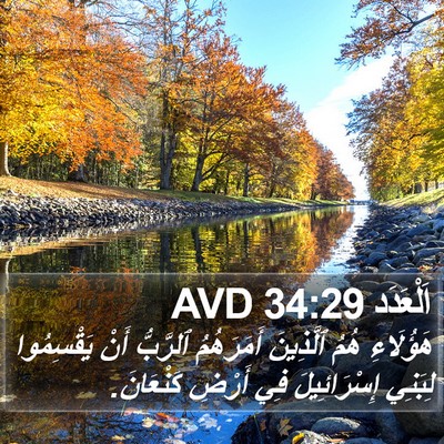 اَلْعَدَد 34:29 AVD Bible Verse Image