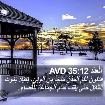 اَلْعَدَد 35:12 AVD Bible Verse Image