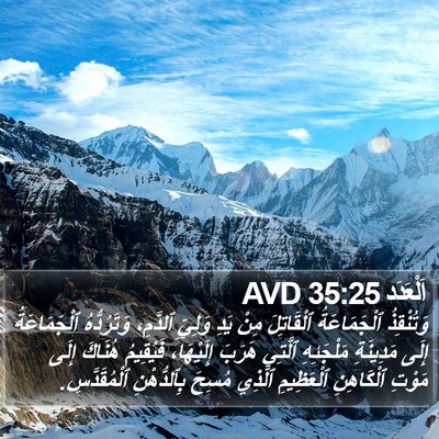 اَلْعَدَد 35:25 AVD Bible Verse Image