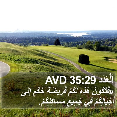 اَلْعَدَد 35:29 AVD Bible Verse Image