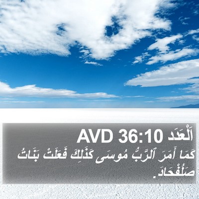 اَلْعَدَد 36:10 AVD Bible Verse Image