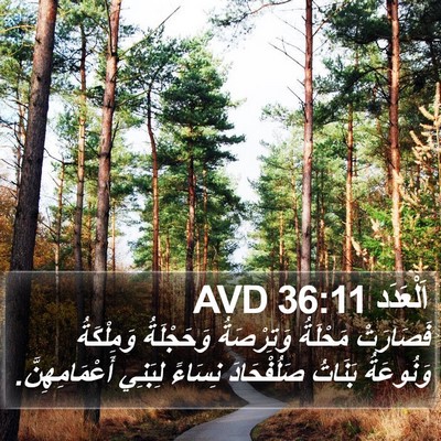 اَلْعَدَد 36:11 AVD Bible Verse Image