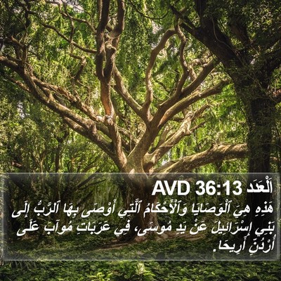 اَلْعَدَد 36:13 AVD Bible Verse Image