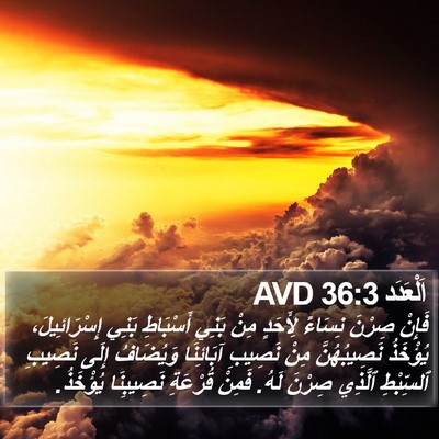 اَلْعَدَد 36:3 AVD Bible Verse Image