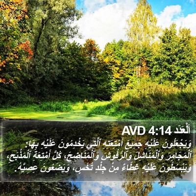 اَلْعَدَد 4:14 AVD Bible Verse Image