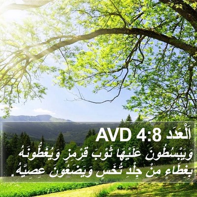 اَلْعَدَد 4:8 AVD Bible Verse Image