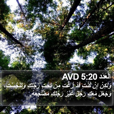 اَلْعَدَد 5:20 AVD Bible Verse Image