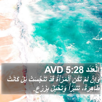 اَلْعَدَد 5:28 AVD Bible Verse Image