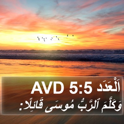اَلْعَدَد 5:5 AVD Bible Verse Image