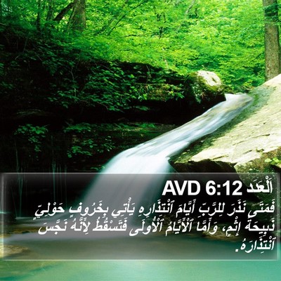 اَلْعَدَد 6:12 AVD Bible Verse Image