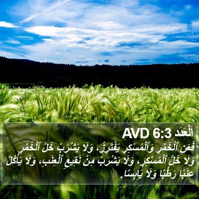 اَلْعَدَد 6:3 AVD Bible Verse Image