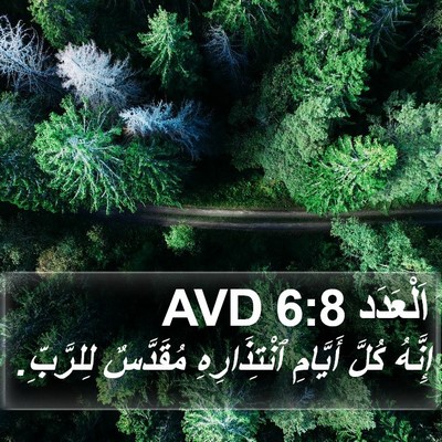 اَلْعَدَد 6:8 AVD Bible Verse Image