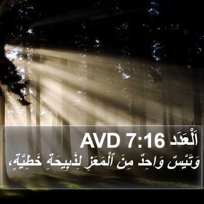 اَلْعَدَد 7:16 AVD Bible Verse Image