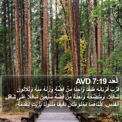 اَلْعَدَد 7:19 AVD Bible Verse Image