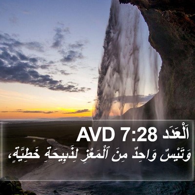 اَلْعَدَد 7:28 AVD Bible Verse Image