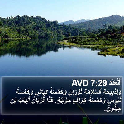 اَلْعَدَد 7:29 AVD Bible Verse Image