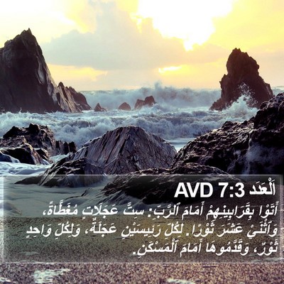 اَلْعَدَد 7:3 AVD Bible Verse Image