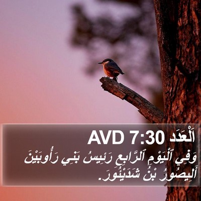 اَلْعَدَد 7:30 AVD Bible Verse Image