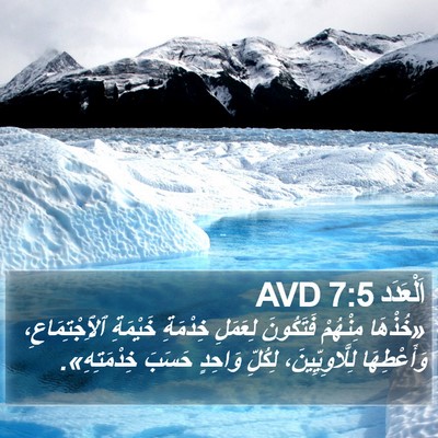 اَلْعَدَد 7:5 AVD Bible Verse Image
