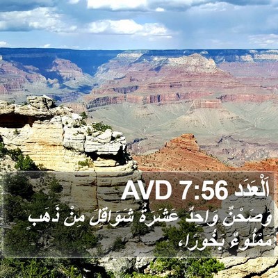 اَلْعَدَد 7:56 AVD Bible Verse Image