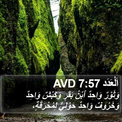 اَلْعَدَد 7:57 AVD Bible Verse Image