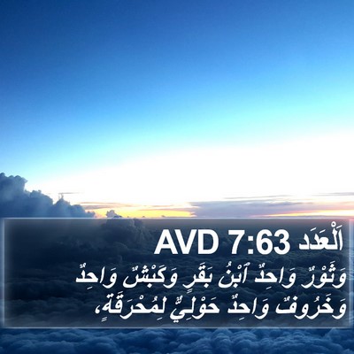 اَلْعَدَد 7:63 AVD Bible Verse Image