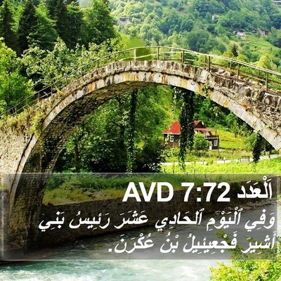 اَلْعَدَد 7:72 AVD Bible Verse Image