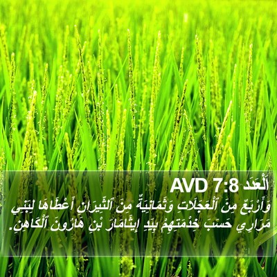 اَلْعَدَد 7:8 AVD Bible Verse Image