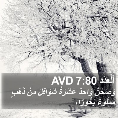اَلْعَدَد 7:80 AVD Bible Verse Image