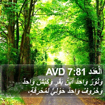 اَلْعَدَد 7:81 AVD Bible Verse Image