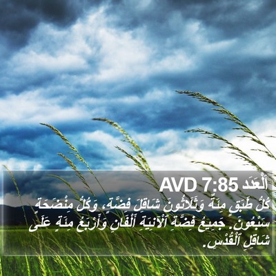 اَلْعَدَد 7:85 AVD Bible Verse Image
