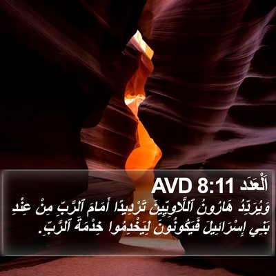 اَلْعَدَد 8:11 AVD Bible Verse Image