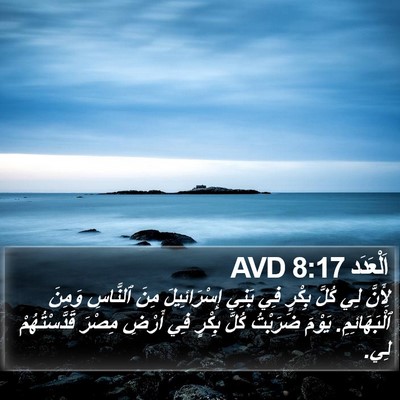 اَلْعَدَد 8:17 AVD Bible Verse Image
