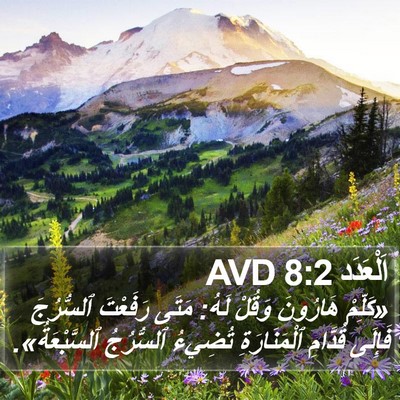 اَلْعَدَد 8:2 AVD Bible Verse Image