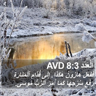 اَلْعَدَد 8:3 AVD Bible Verse Image