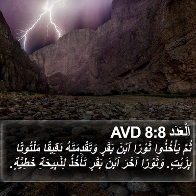 اَلْعَدَد 8:8 AVD Bible Verse Image
