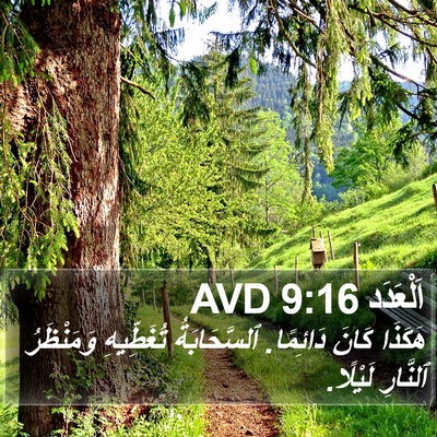 اَلْعَدَد 9:16 AVD Bible Verse Image