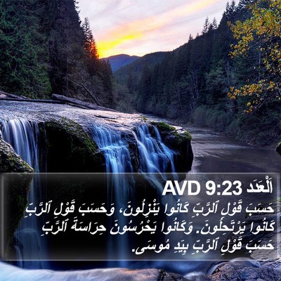 اَلْعَدَد 9:23 AVD Bible Verse Image