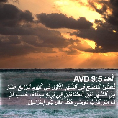 اَلْعَدَد 9:5 AVD Bible Verse Image