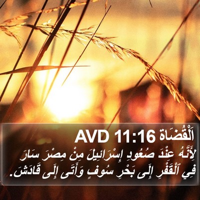 اَلْقُضَاة 11:16 AVD Bible Verse Image