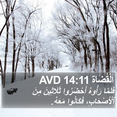 اَلْقُضَاة 14:11 AVD Bible Verse Image