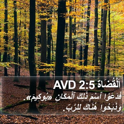اَلْقُضَاة 2:5 AVD Bible Verse Image