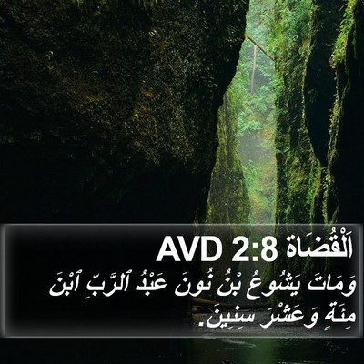 اَلْقُضَاة 2:8 AVD Bible Verse Image