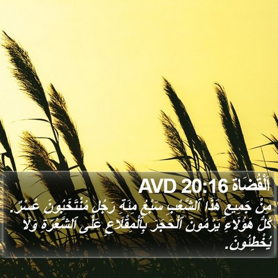 اَلْقُضَاة 20:16 AVD Bible Verse Image